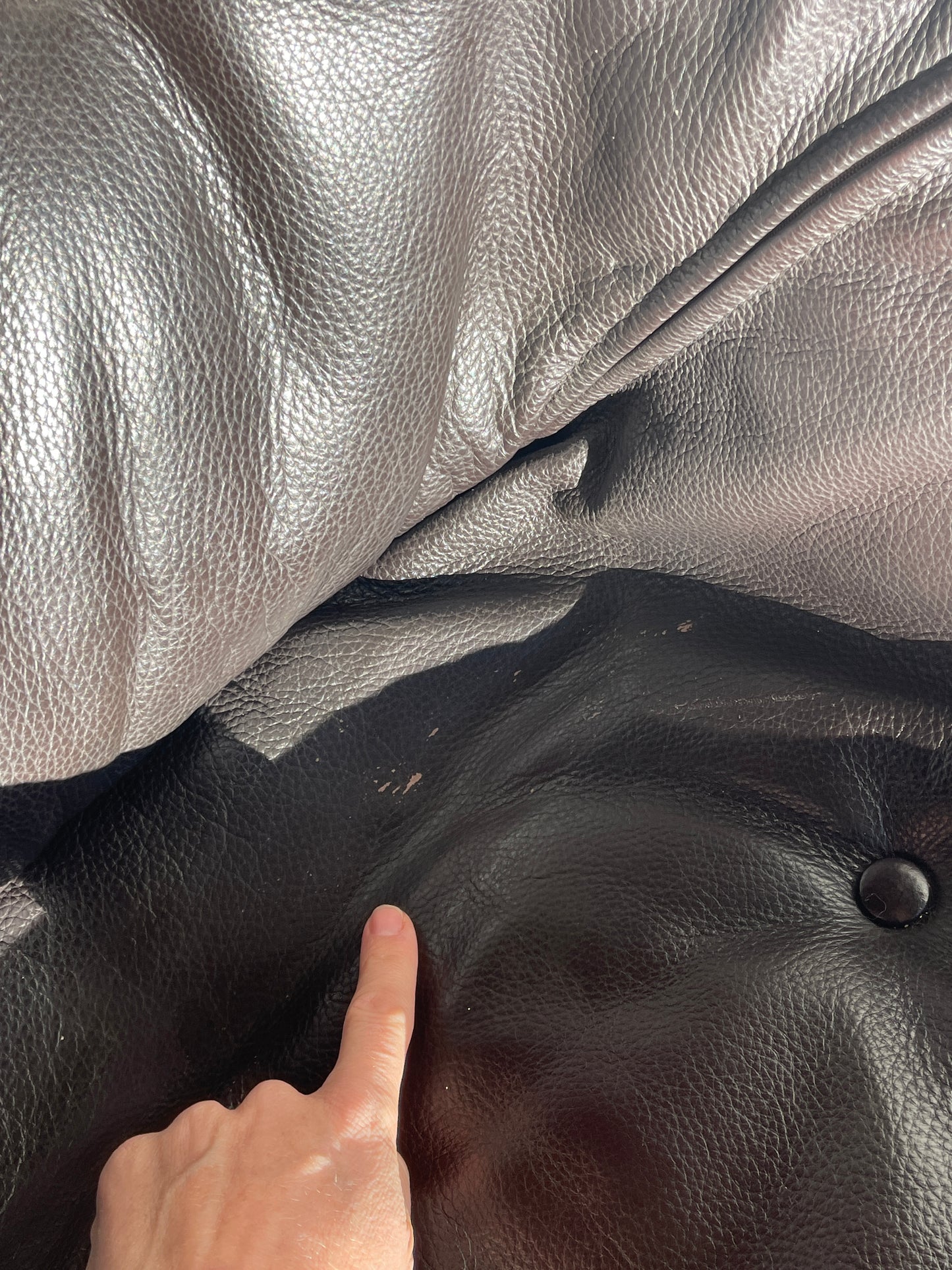 Luna Lounge Chair and Ottoman