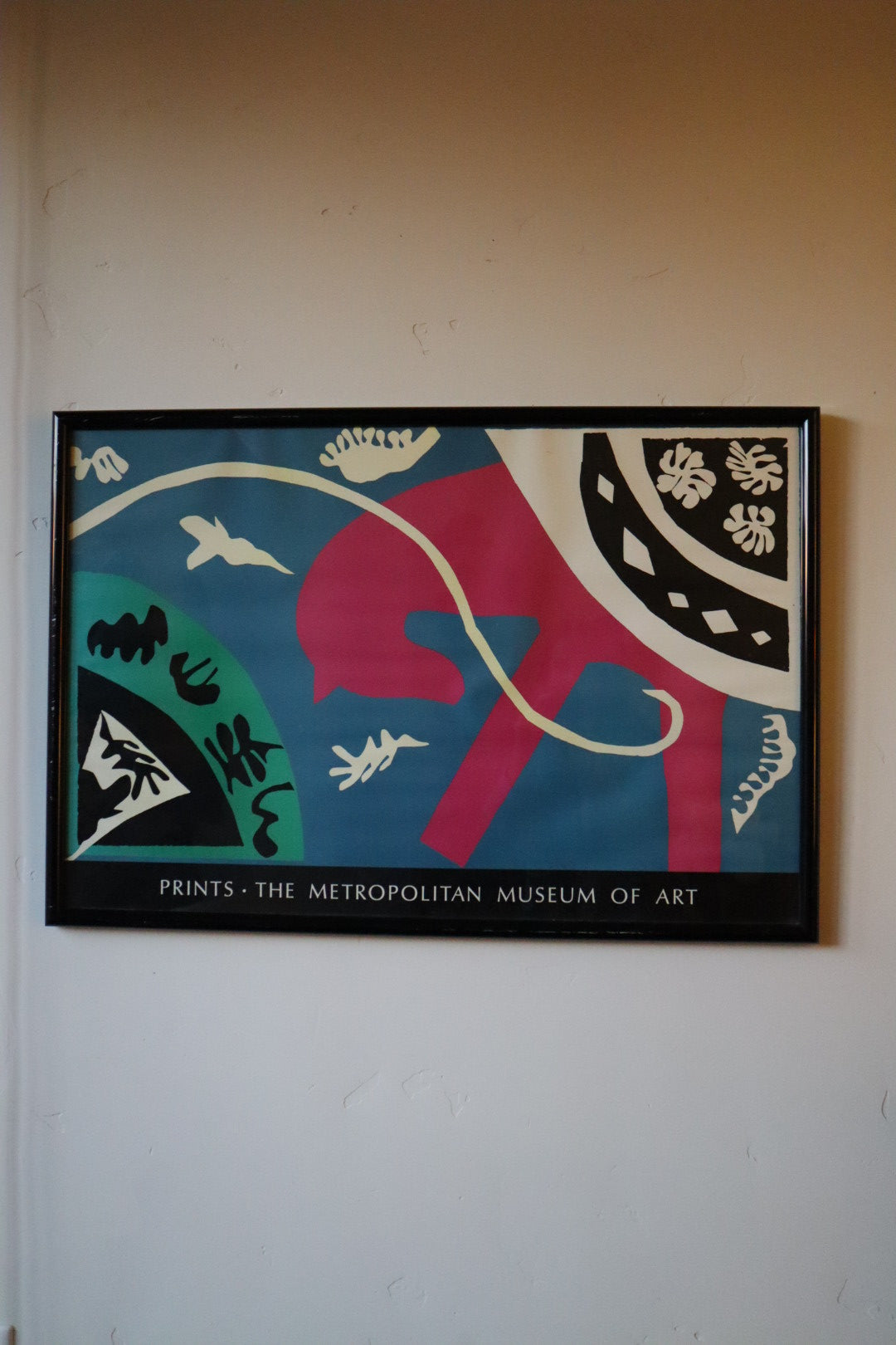 Matisse, The Horse