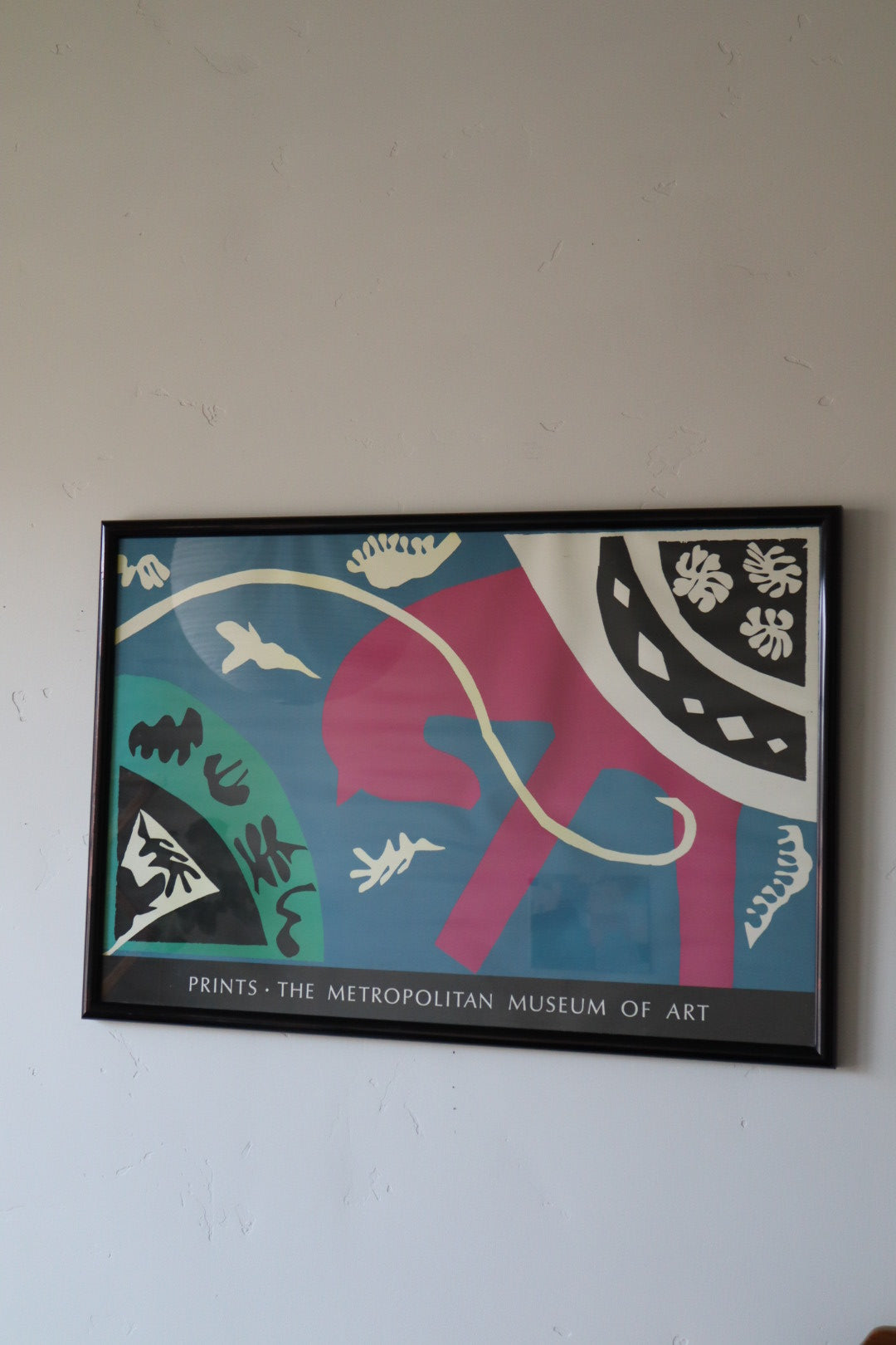 Matisse, The Horse