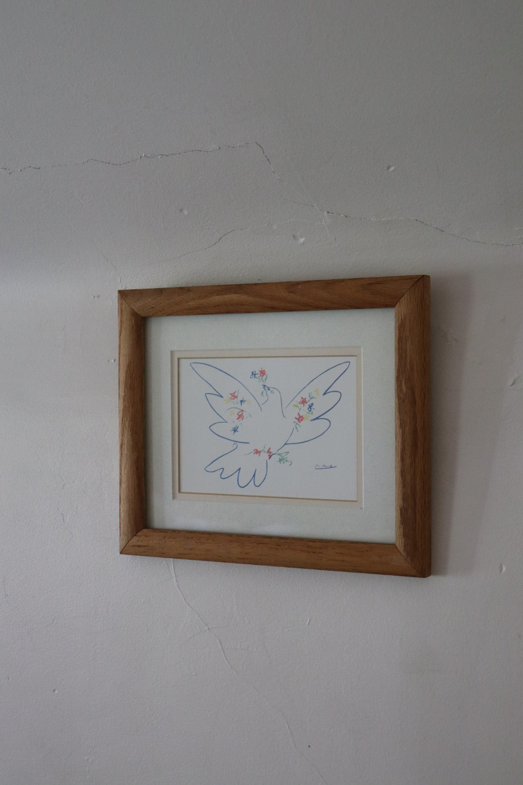 Picasso Framed Print