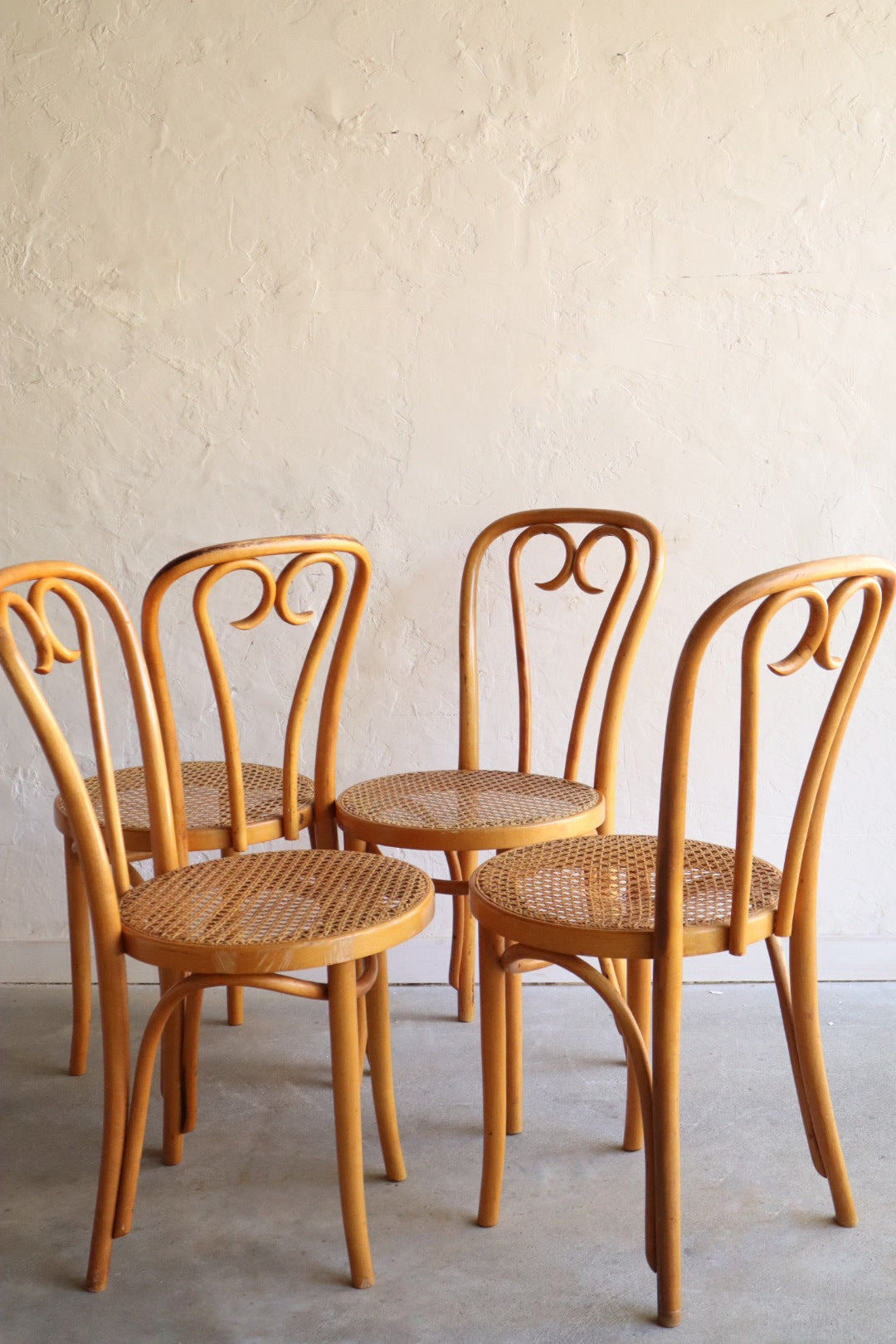 Bentwood Dining Chairs