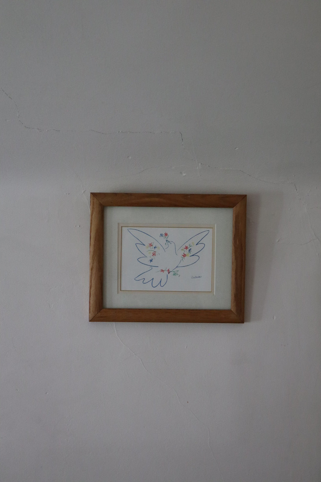 Picasso Framed Print