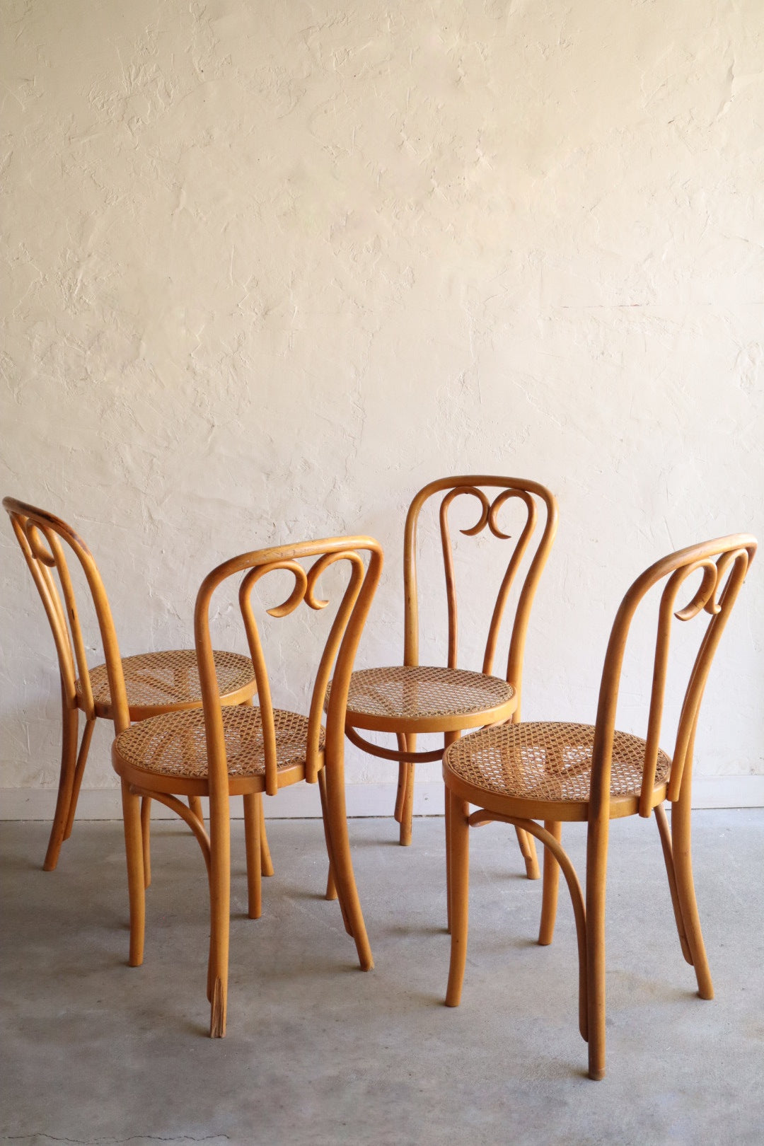 Bentwood Dining Chairs