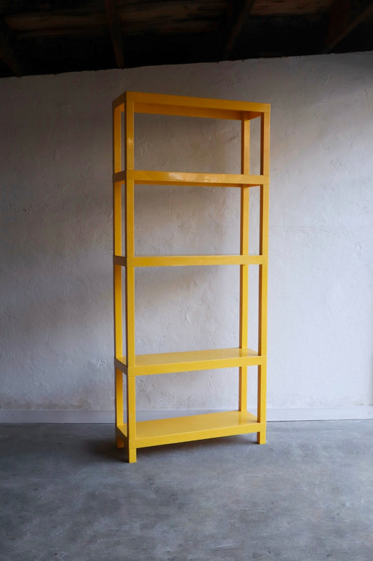 Space Age Plastic Shelf