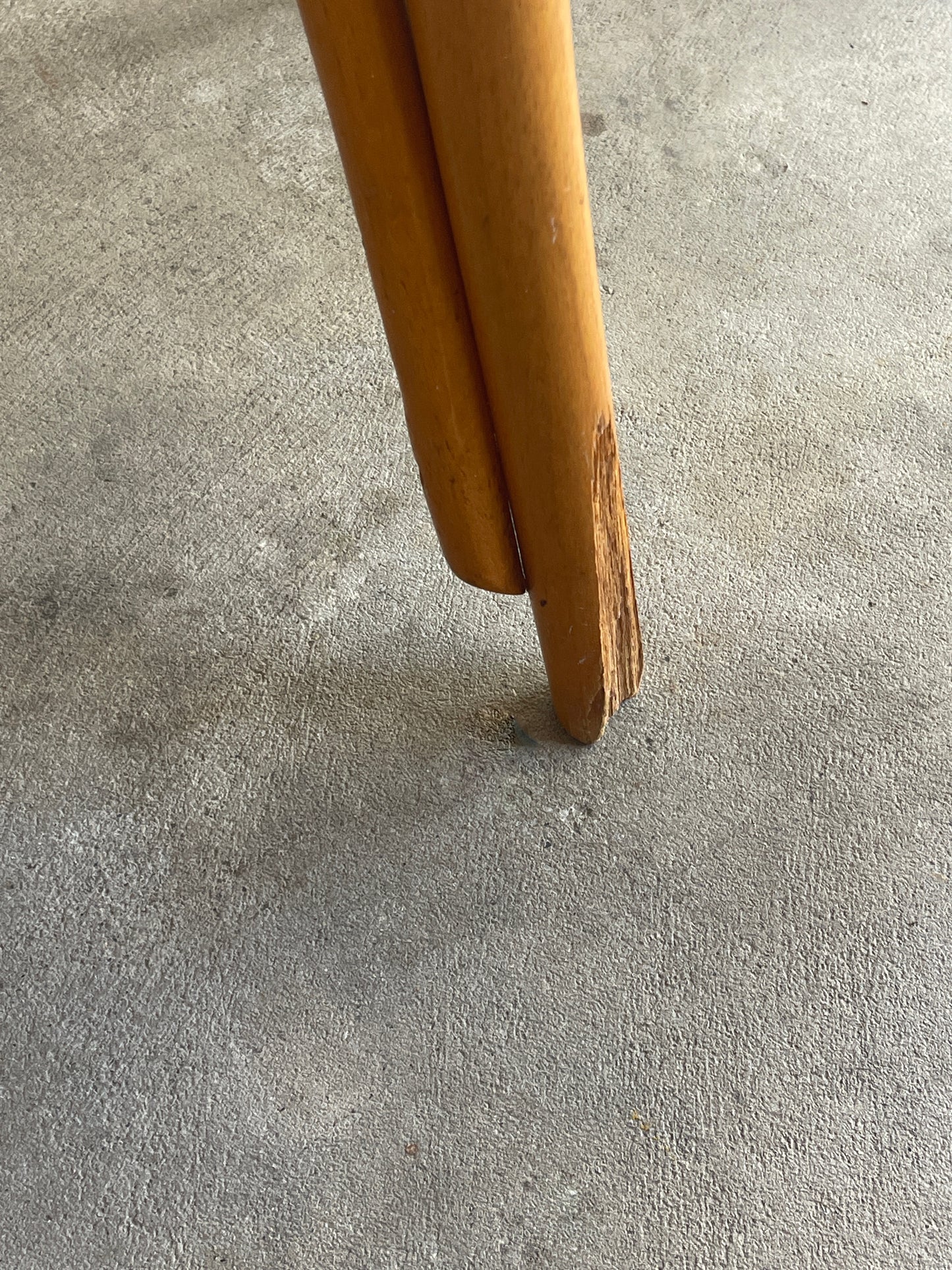 Bentwood Dining Chairs