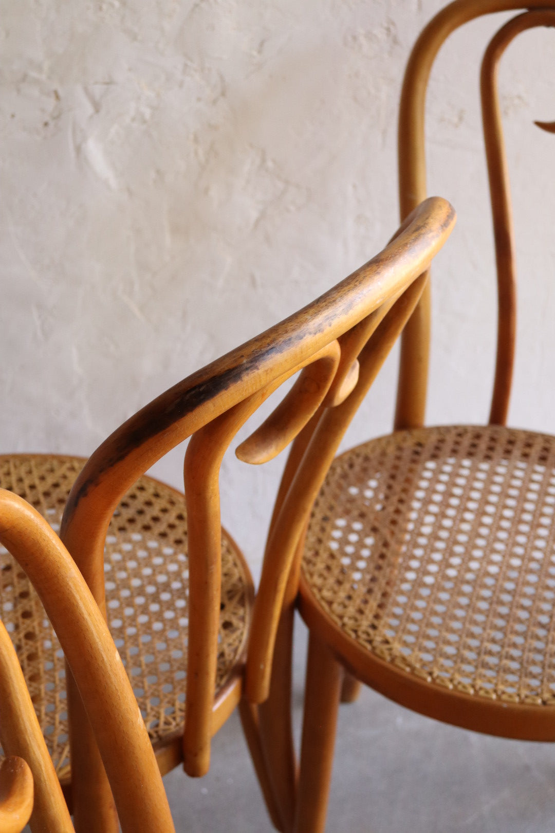 Bentwood Dining Chairs